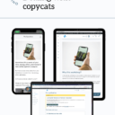 Screenshots of the Dealing with copycats workshop on a phone, tablet, and laptop